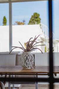 a potted plant sitting on top of a wooden table at Studios Eliza in Livadi