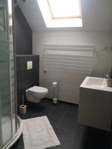 a bathroom with a toilet and a sink and a skylight at Agréable chambre privée avec entrée indépendante in Langeais