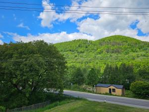 a house on the side of a road with a mountain at Ubytovanie Terchová 68 in Terchová