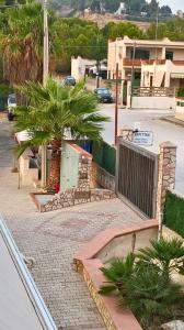 palma na chodniku obok ulicy w obiekcie 2 bedrooms apartement at Sciacca 200 m away from the beach with sea view enclosed garden and wifi w mieście Sciacca