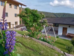 Výhľad na hory alebo výhľad na hory priamo z apartmánu