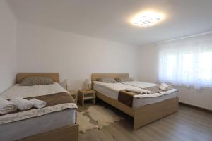 sypialnia z 2 łóżkami i oknem w obiekcie Apartment Sončni Gaj w Ptuju
