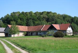 dom z czerwonymi dachami na zielonym polu w obiekcie Apartment Sončni Gaj w Ptuju