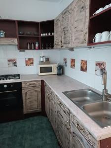 A kitchen or kitchenette at STELLA Apartman