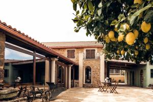 an outdoor patio with chairs and a tree with oranges at casa rural O lar do San Paio in Erboedo