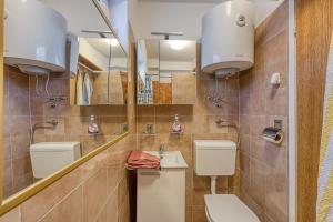 bagno con 2 servizi igienici, lavandino e specchio di Apartments Marija 1000 a Rabac