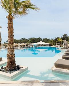 a palm tree in the middle of a swimming pool at Trypiti Resort Blue Dream Palace and Hive Water Park in Limenaria