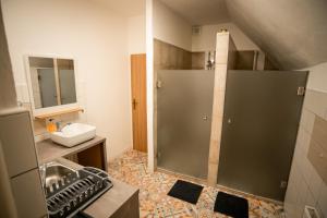 a small bathroom with a sink and a shower at APART Mikeš in Telč