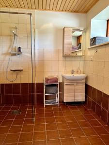 Krüüdneri的住宿－Krüüdneri puhkemaja，一间带水槽和淋浴的浴室