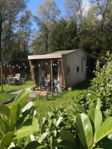 a small shed in a yard with a patio at Tiny House Hilver - uniek en sfeervol huisje middenin het bos in Diessen