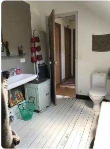 een badkamer met een toilet, een wastafel en een deur bij Grande chambre 3 couchages in Parmain