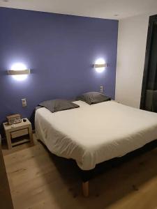 a bedroom with a large bed with a blue wall at Chambre privée 2 - Chez Vincent - Gare - Centre ville Appartement Partagé -WIFI in Annecy