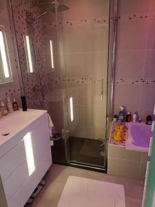 a bathroom with a shower and a sink at Chambre privée 2 - Chez Vincent - Gare - Centre ville Appartement Partagé -WIFI in Annecy