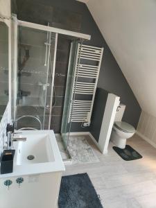 a bathroom with a shower and a sink and a toilet at Chambre récente chez particuliers in Francueil