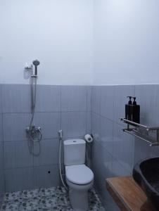 a bathroom with a shower and a toilet and a sink at Jepun Homestay Lemukih in Singaraja