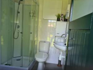 a bathroom with a toilet and a sink and a shower at Guesthouse Wallenborn - Caravan Chalet in Wallenborn +4 photos