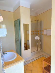 een badkamer met een wastafel en een douche bij Le Relais Notre Dame in Quinson