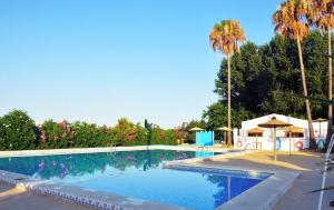 a swimming pool with palm trees in the background at HolaCamp Gandía in Daimuz