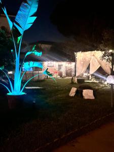 Zahrada ubytování B&B RIO GRANDE