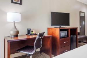 TV a/nebo společenská místnost v ubytování Comfort Inn & Suites Temple - Medical Center