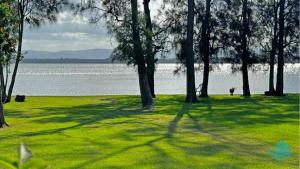 un campo de césped con árboles y un cuerpo de agua en Casuarina Waters - waterfront home on Lake Macquarie, en Bonnells Bay