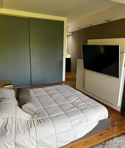 a bedroom with a bed and a flat screen tv at Luxury Apartment Palermo Hollywood in Buenos Aires
