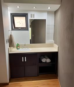 a bathroom with a sink and a mirror at Luxury Apartment Palermo Hollywood in Buenos Aires