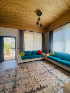 a living room with blue couches and a rug at KARA KEDİ VİLLA'S in Kemer