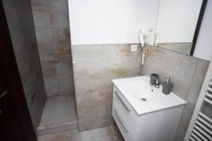 ein Bad mit einem Waschbecken und einer Dusche in der Unterkunft Apartmány Banff in Bešeňová