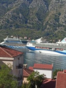 twee cruiseschepen zijn aangemeerd in een haven bij Bay View Apartments in Kotor