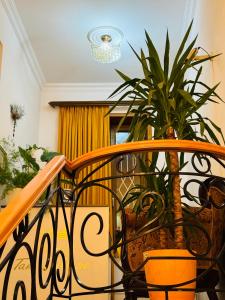 a potted plant sitting on top of a staircase at Hotel Tamar Mepe in Kutaisi