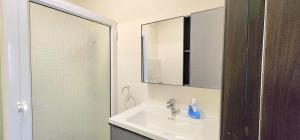 un bagno con lavandino, specchio e doccia di Number 3, Pebble Bay Appartments, Ground floor a Pereybere Altre 10 foto