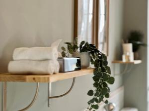a shelf with towels and a plant on it at La Villa Ribière in Auxerre