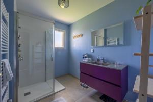 a bathroom with a sink and a shower at La petite maison de Littry in Le Molay-Littry +10 photos