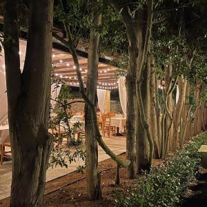 A garden outside Relais Casina Copini