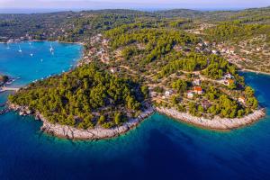 an aerial view of a small island in the water at PomaloVilla at Gradina Cove in Vela Luka