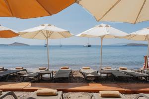KHAI HOTEL BODRUM في بودروم: مجموعة من الكراسي والمظلات على الشاطئ