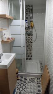 a bathroom with a shower and a sink at Appartement individuel en maison in Beaumont-sur-Oise