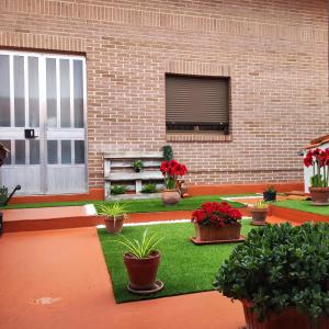 une cour avec des plantes en pot devant un bâtiment dans l'établissement Hotel Migal, à Cue
