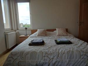 A bed or beds in a room at One bedroom apartement with balcony and wifi at Etterbeek