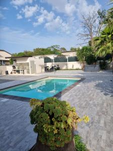 une piscine avec une plante en face d'une maison dans l'établissement Casa Dolce con jacuzzi e piscina, à Brucoli