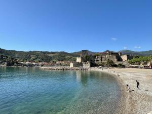 twee mensen lopen op een strand bij het water bij Appartement Collioure, 3 pièces, 6 personnes - FR-1-225-705 in Collioure