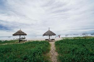 2 bancs et parasols sur une plage avec l'océan dans l'établissement Maisara Mafia Beach Lodge, à Kilindoni