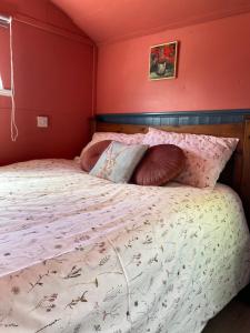 a bedroom with a bed with pink walls at The Hares Hut at Carrigeen Glamping in Kilkenny