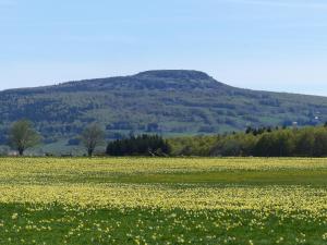 un campo de flores amarillas frente a una montaña en Terres de France - Le Domaine des Vans en Chambonas