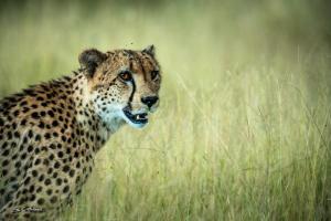 Gallery image of Africa on Foot in Klaserie Private Nature Reserve