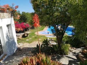 Vale da RosaにあるCasa de Pedra e Calのスイミングプールを望む庭園