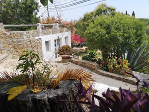 Vale da RosaにあるCasa de Pedra e Calの建物前の花植物庭園 +27枚の写真