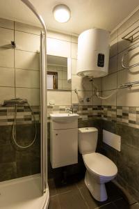a bathroom with a toilet and a sink and a shower at Vila Junda in Neringa