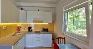 Kuchyňa alebo kuchynka v ubytovaní Apartments Đogo